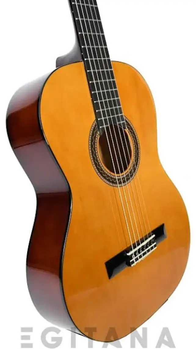 Valencia VC104T Sap Çelikli Naturel Klasik Gitar (Kılıf Hediyeli)
