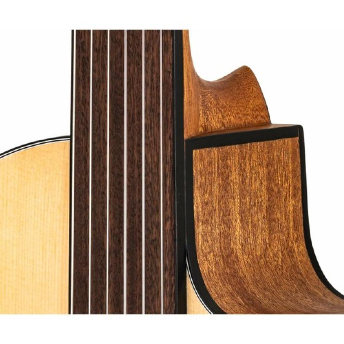 Valler VG250CPDS Perdesiz Klasik Gitar ( Pena ve Taşıma Kılıfı )