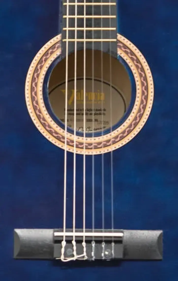 Valencia VC102T (8-10 Yaş Grubu) Bus 1/2 Klasik Gitar Sap Çelikli