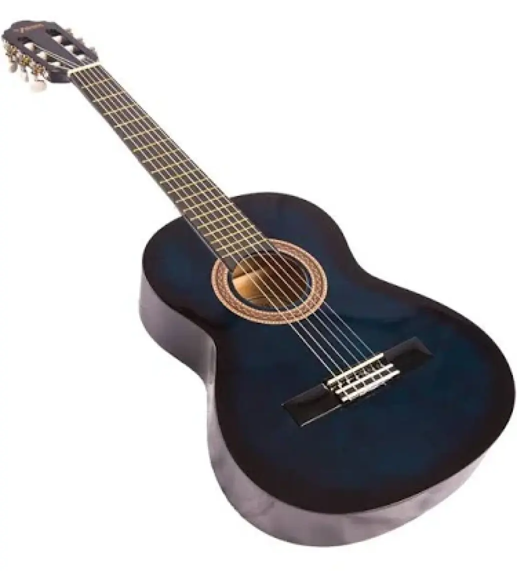 Valencia VC102T (8-10 Yaş Grubu) Bus 1/2 Klasik Gitar Sap Çelikli