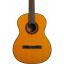 TAKAMINE GC1 NAT Klasik Gitar
