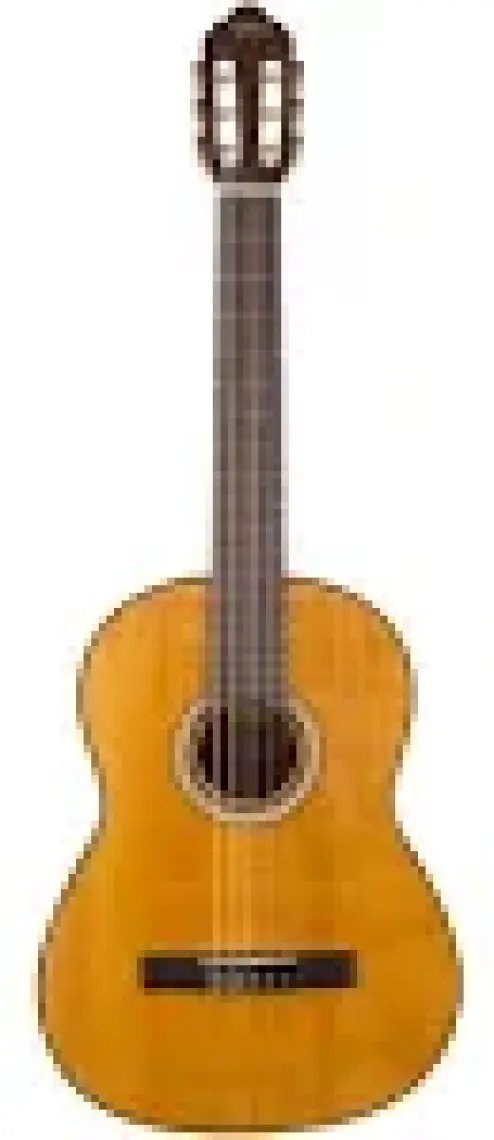 Valencia VC404 Klasik Gitar (Kılıf Hediyeli)