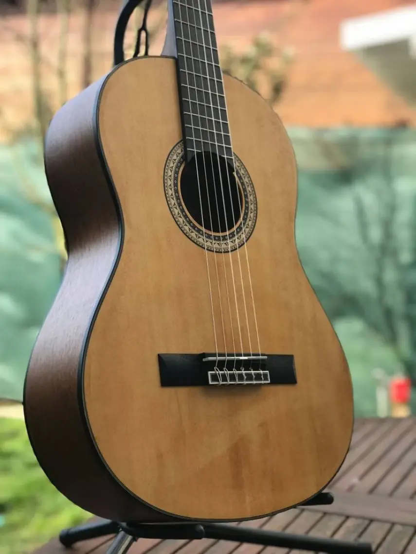 Valencia VC404 Klasik Gitar (Kılıf Hediyeli)