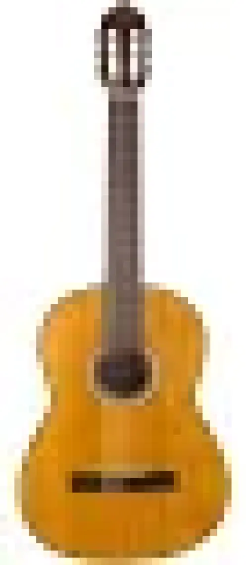 Valencia VC404 Klasik Gitar (Kılıf Hediyeli)