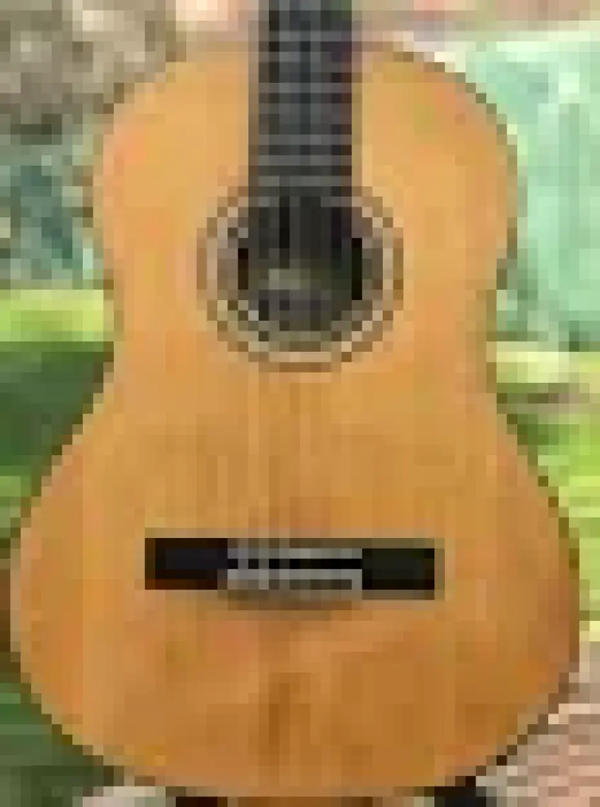 Valencia VC404 Klasik Gitar (Kılıf Hediyeli)