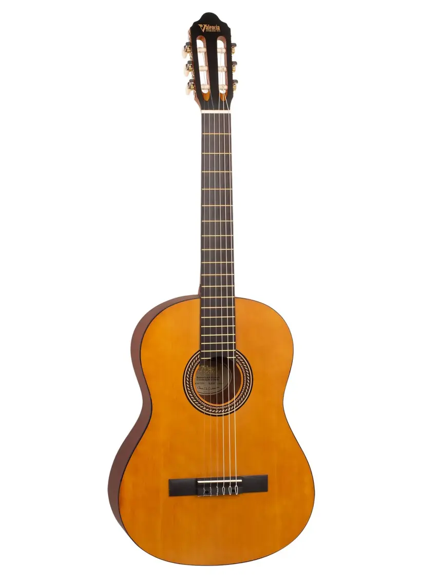 Valencia VC204TWR Bordo Klasik Gitar (Kılıf Hediyeli)