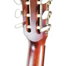 Valencia VC204 Klasik Gitar (Kılıf Hediyeli)
