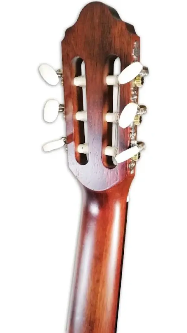 Valencia VC204 Klasik Gitar (Kılıf Hediyeli)
