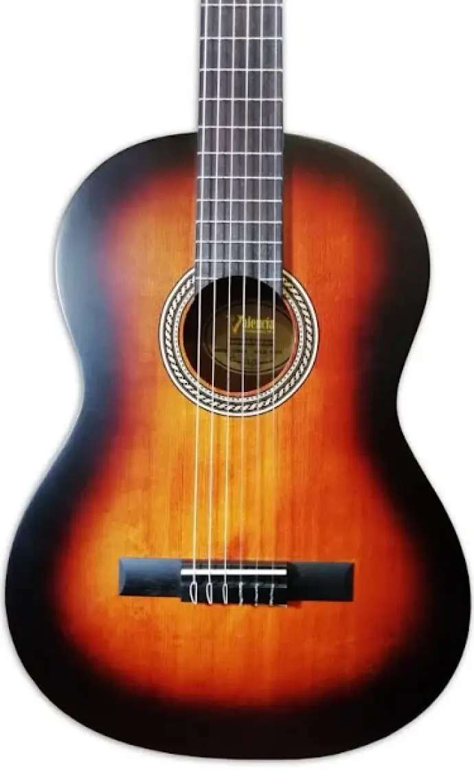 Valencia VC204 Klasik Gitar (Kılıf Hediyeli)