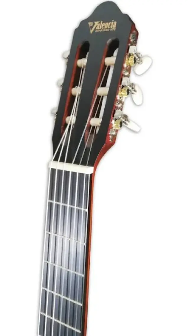 Valencia VC204 Klasik Gitar (Kılıf Hediyeli)