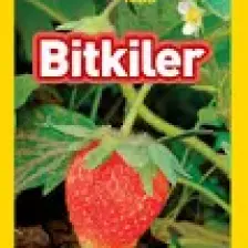 National Geographic Kids - Bitkiler - Kathrynwilliams