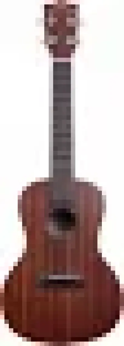 Kala Makala Concert Ukulele