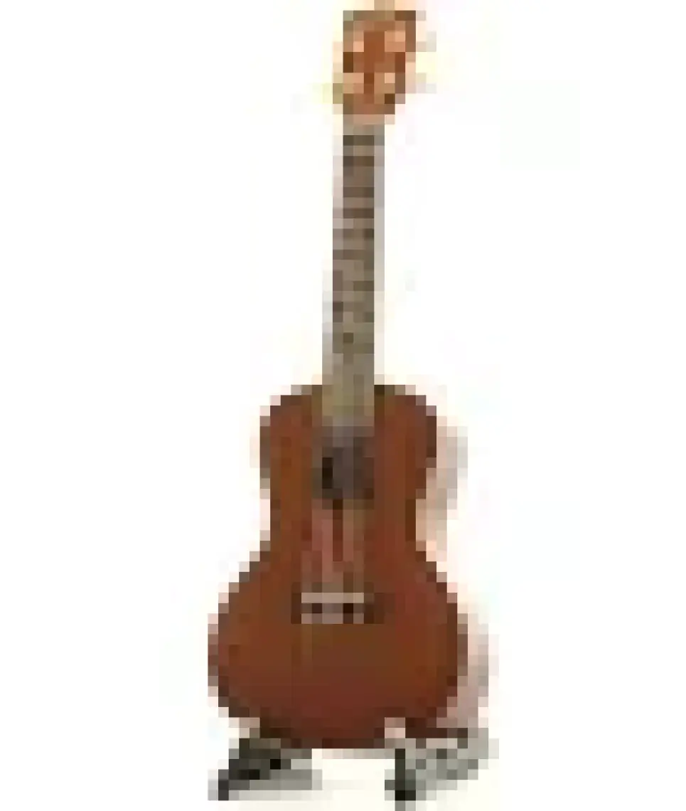 Kala Makala Concert Ukulele