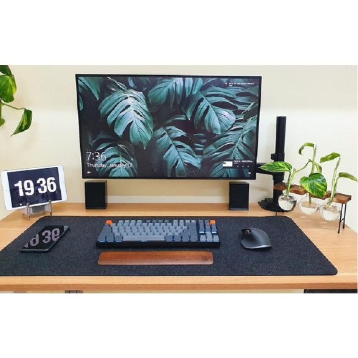 Nb North Bayou H100 Tek Kol Amortisörlü Profosyonel Monitör Standı