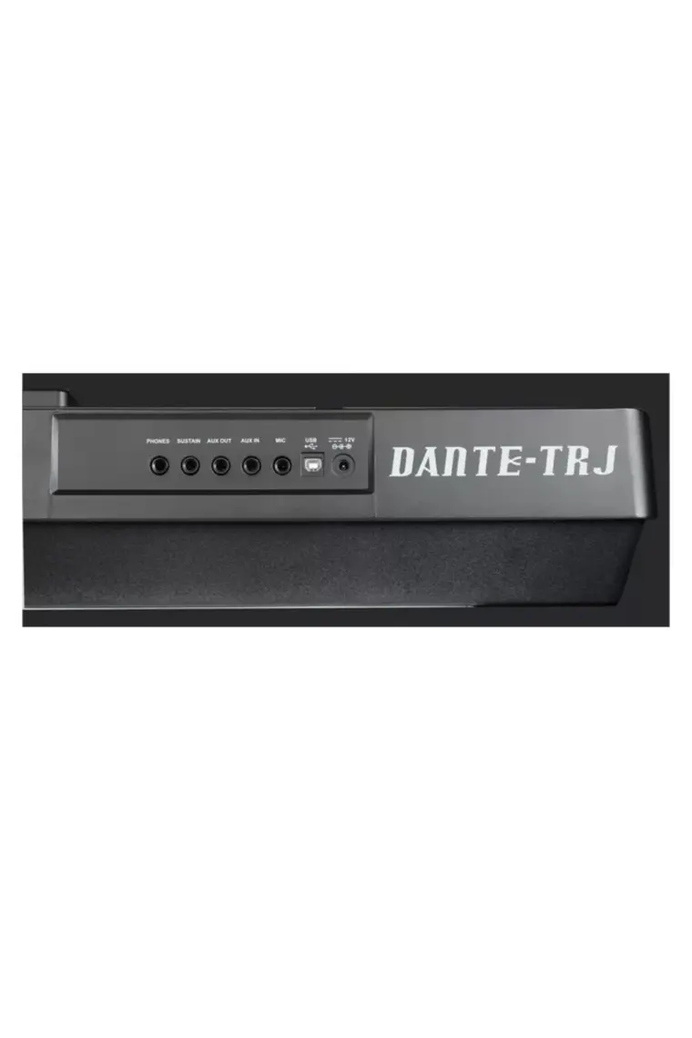 Medeli Dante Tr-J V2 Türk Ritimli Org