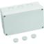 Tp Electric 130X220X95 Buat Ip67