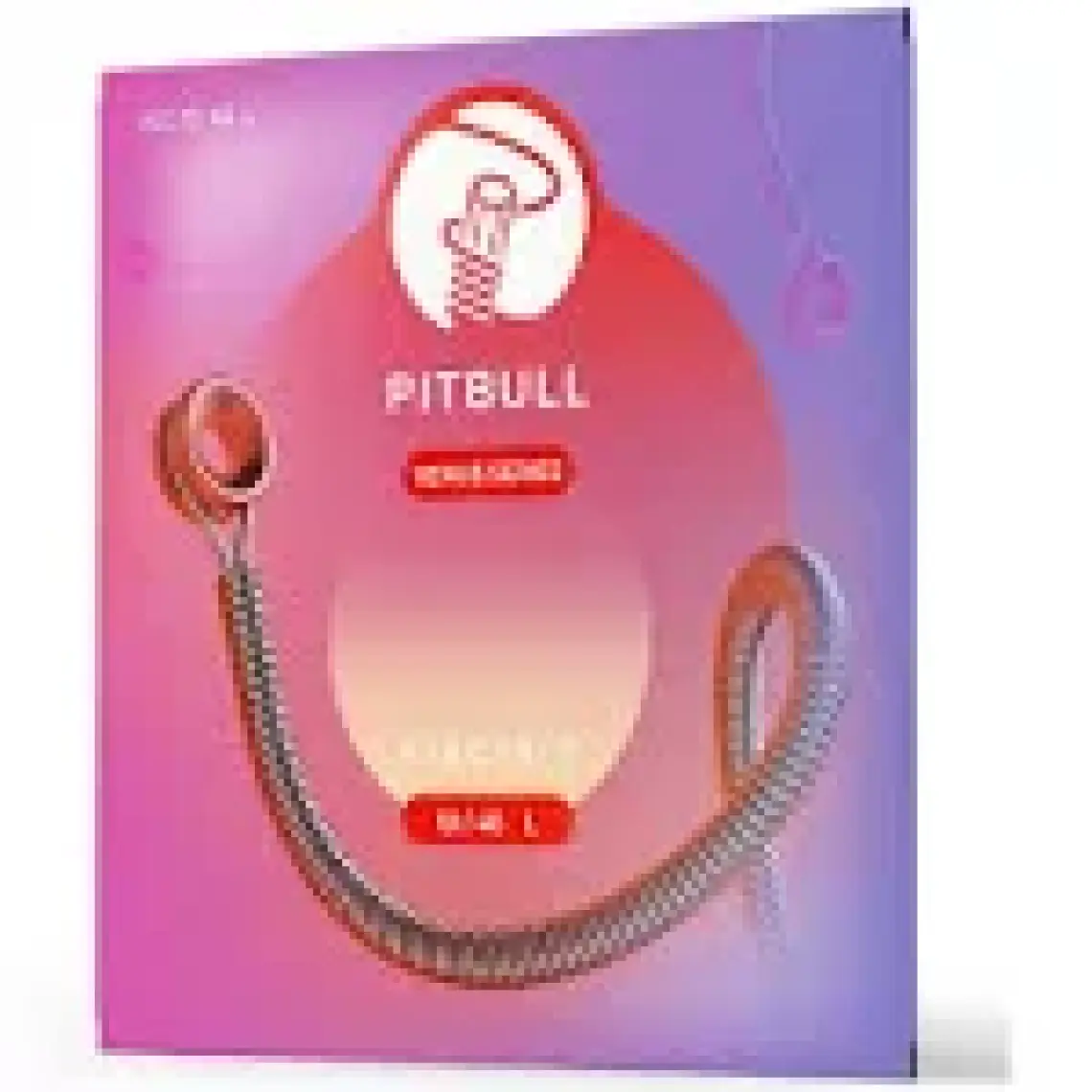 Pitbull Venus Elektro Gitar Teli Veg L 10-46 Light