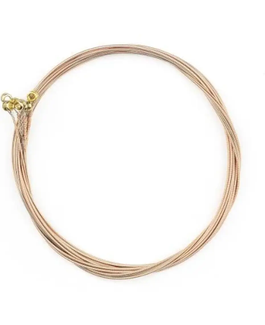 Elixir 16545 Nanoweb Phosphor Bronze 3'lü Akustik Gitar Teli (12-53)