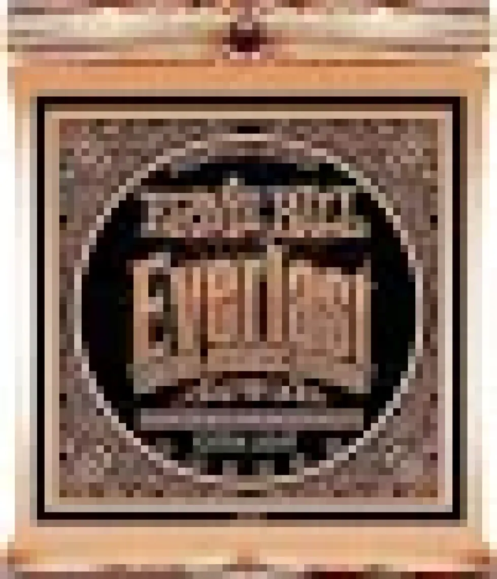 Ernie Ball P02550 Everlast Akustik Gitar Teli (Extra Light)