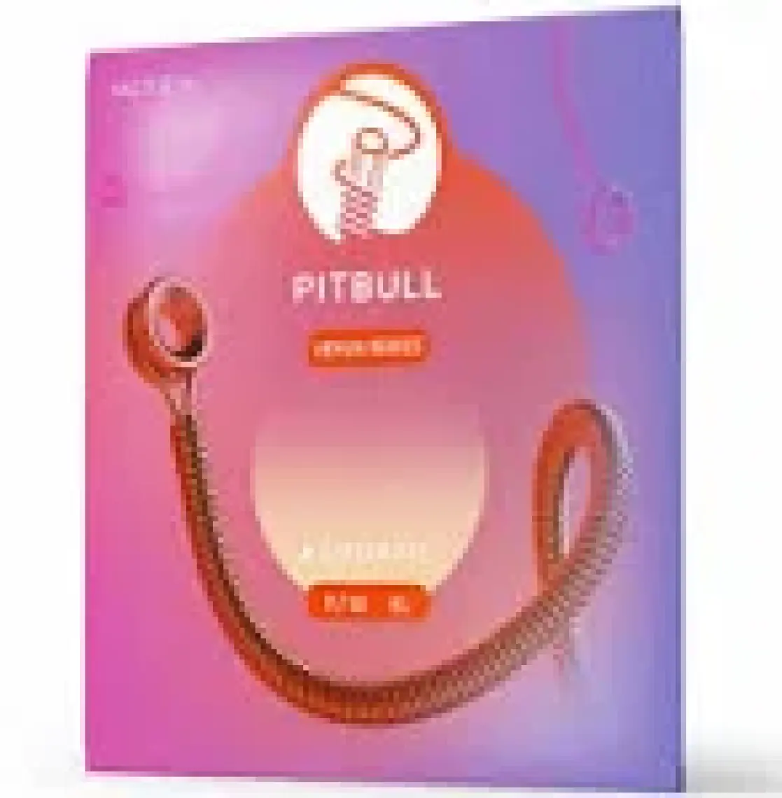 Pitbull Strings Venus Series Vag 11-52 El Takım Tel Akustik Gitar Teli 011-052