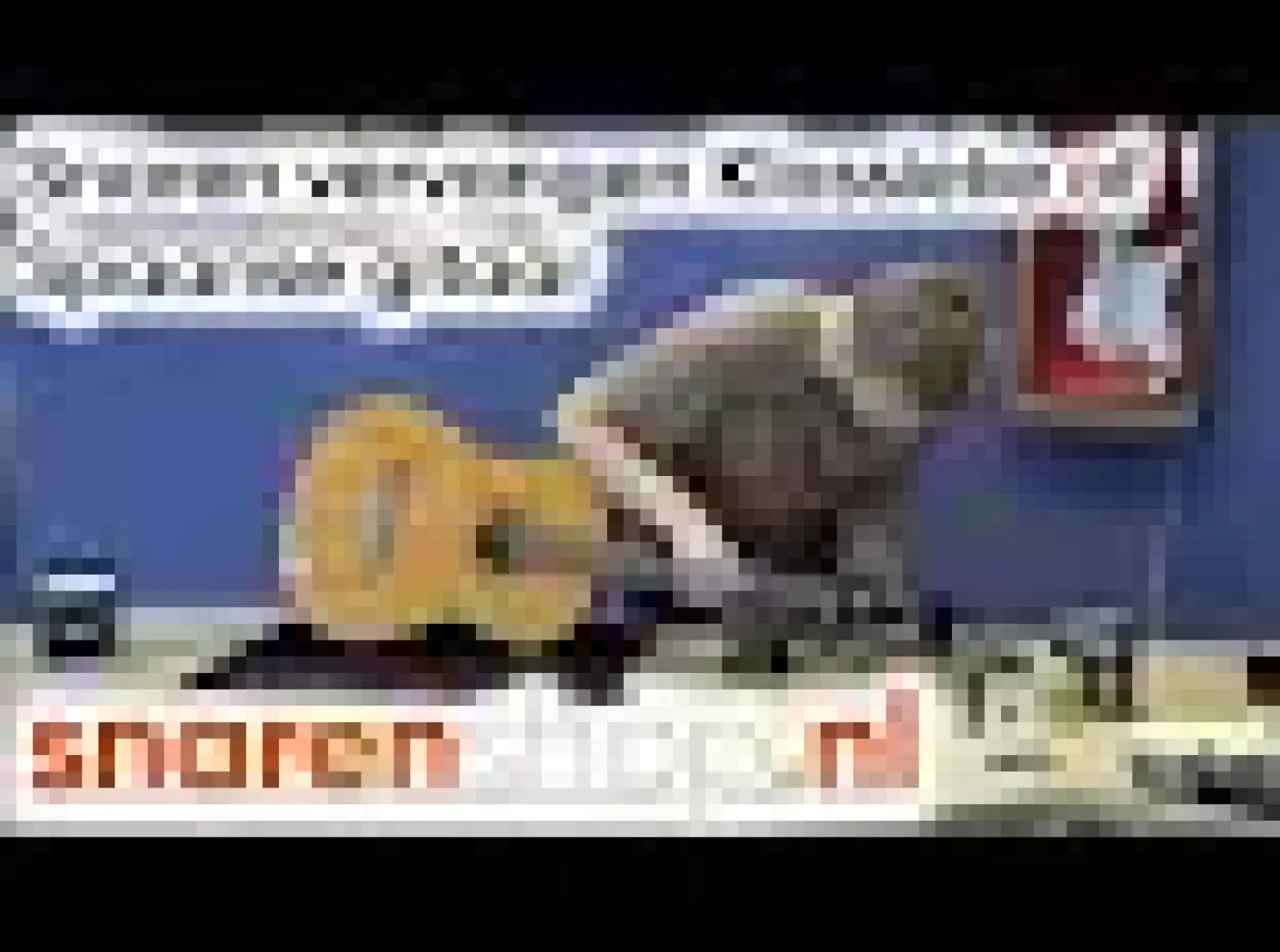 Ibanez ICLS6NT Klasik Gitar Teli