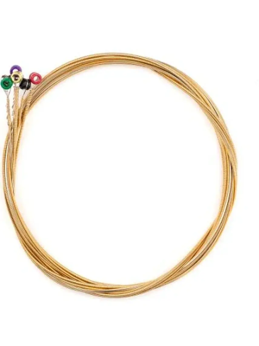 D'Addario Daddario XTAPB1253 Xt Acoustic Phosphor Bronze Strings, Light Takım Tel Akustik Gitar Teli 012-053