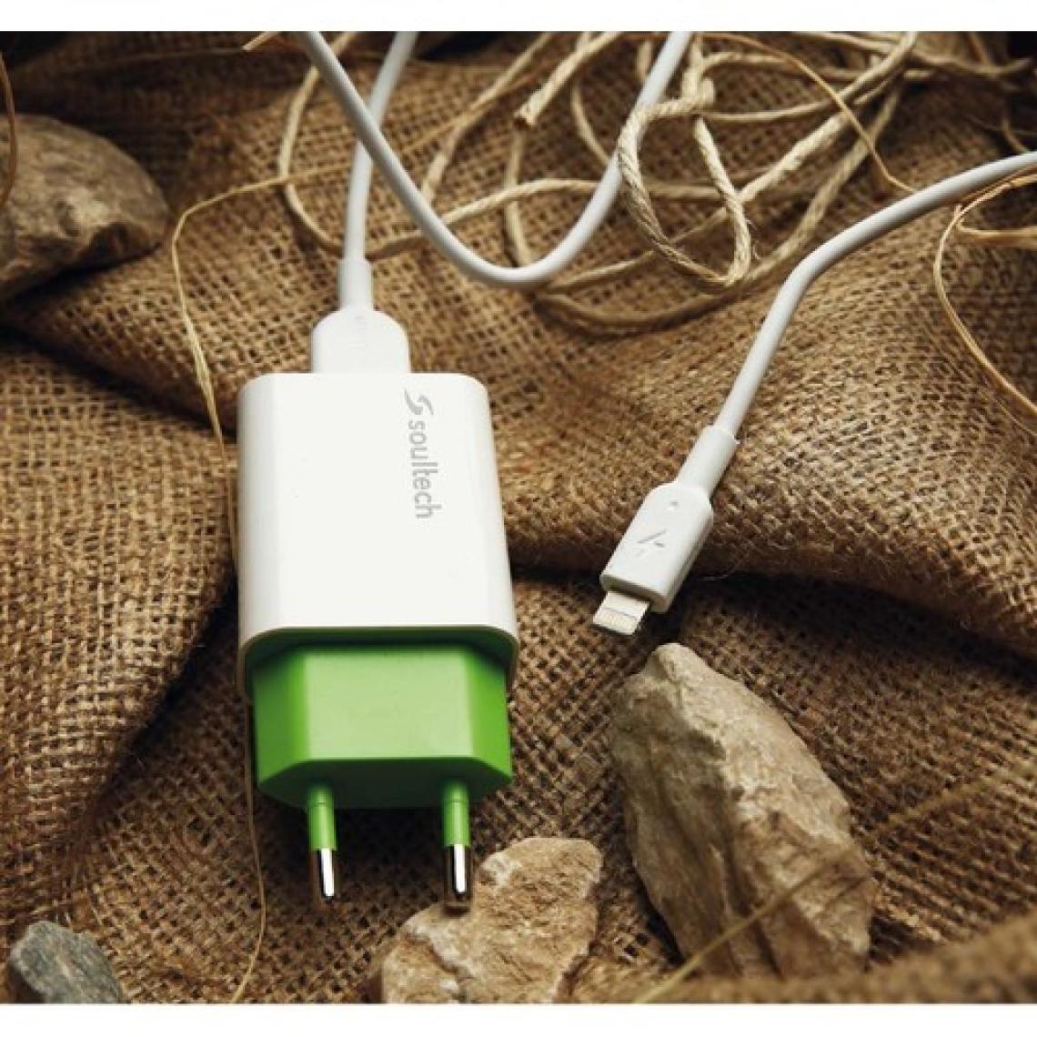 Soultech 2.1 A Ev Şarj Adaptörü & Micro USB Data Şarj Kablosu