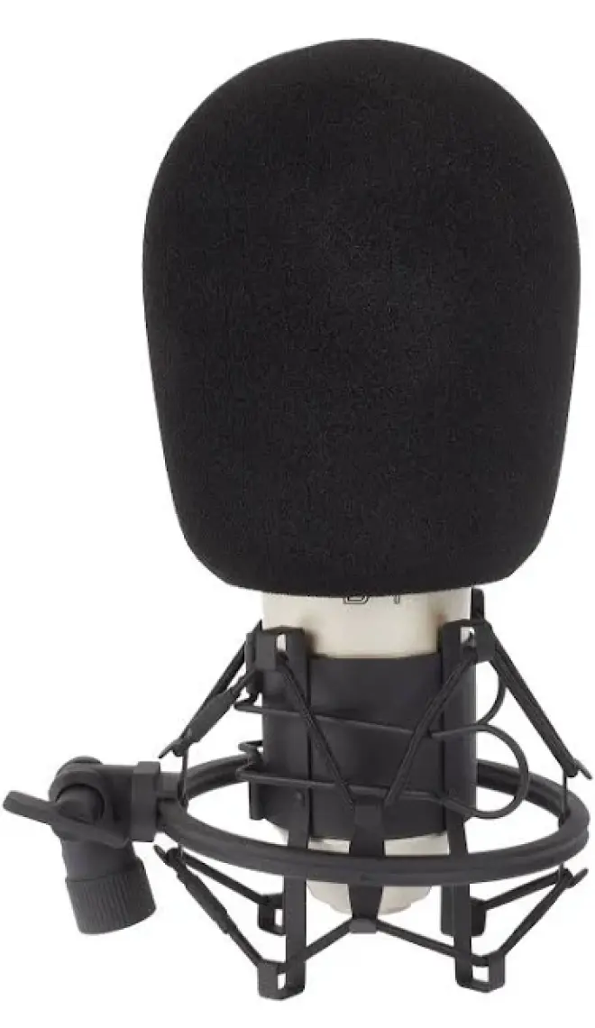 BEHRINGER B-1 / Condenser Mikrofon