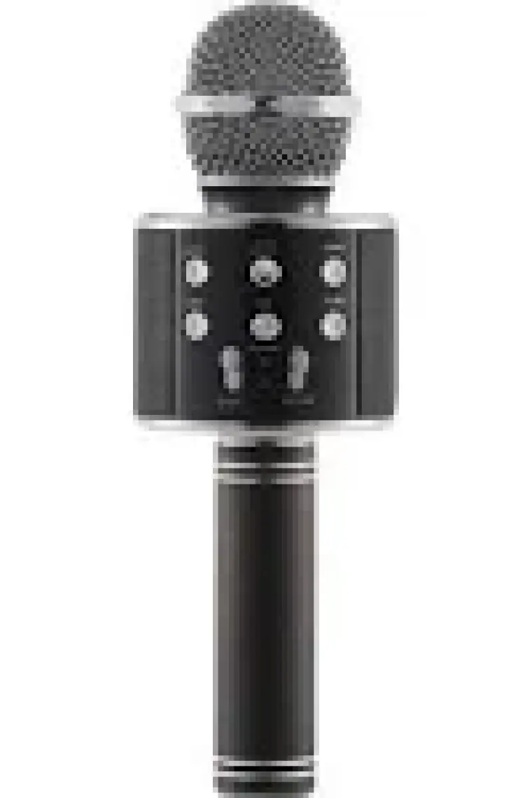 Evervox EVR KRK 02 Karaoke Mikrofon