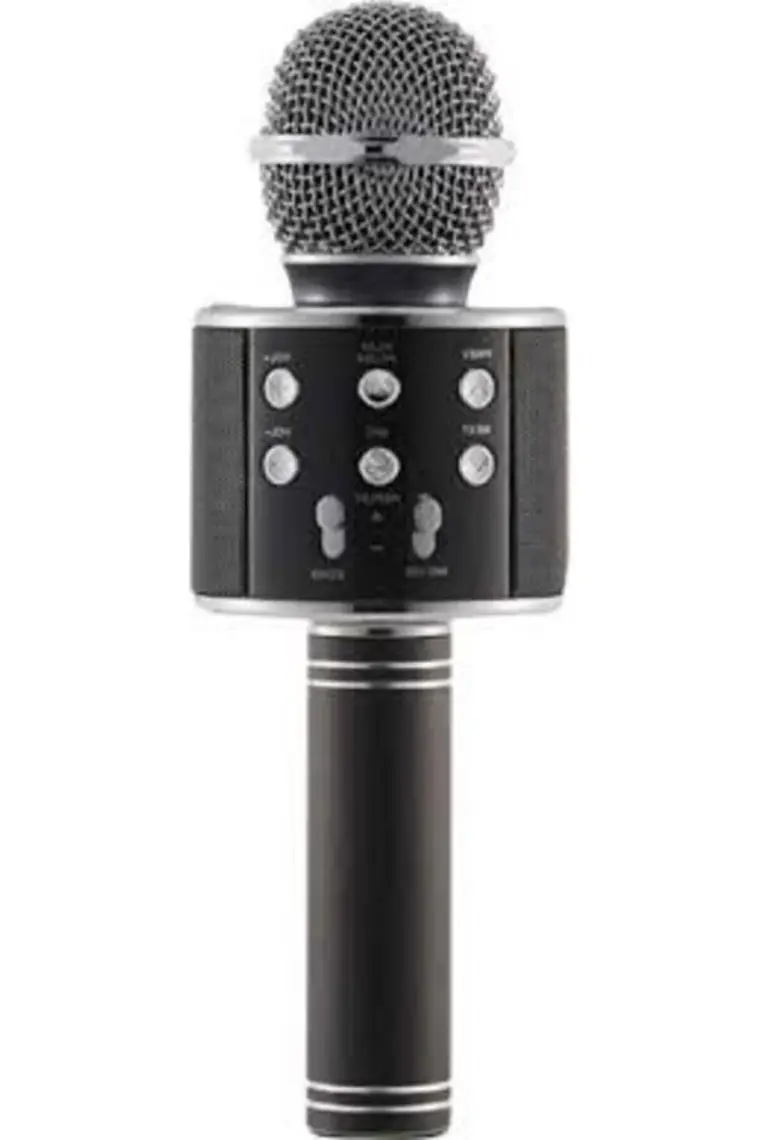 Evervox EVR KRK 02 Karaoke Mikrofon