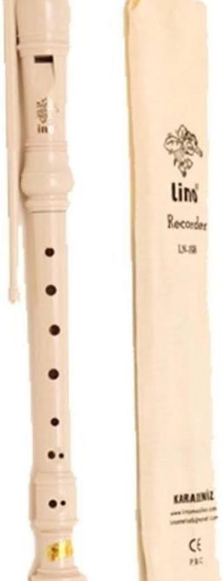 Lino LN-198A Flüt Plastik Bez Kılıflı