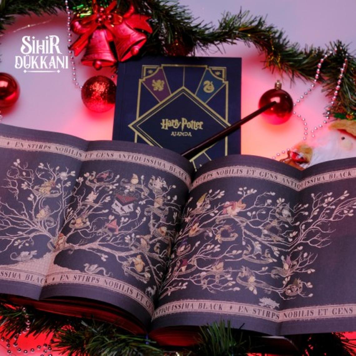 Sihir Dükkanı Harry Potter Ajanda 2025