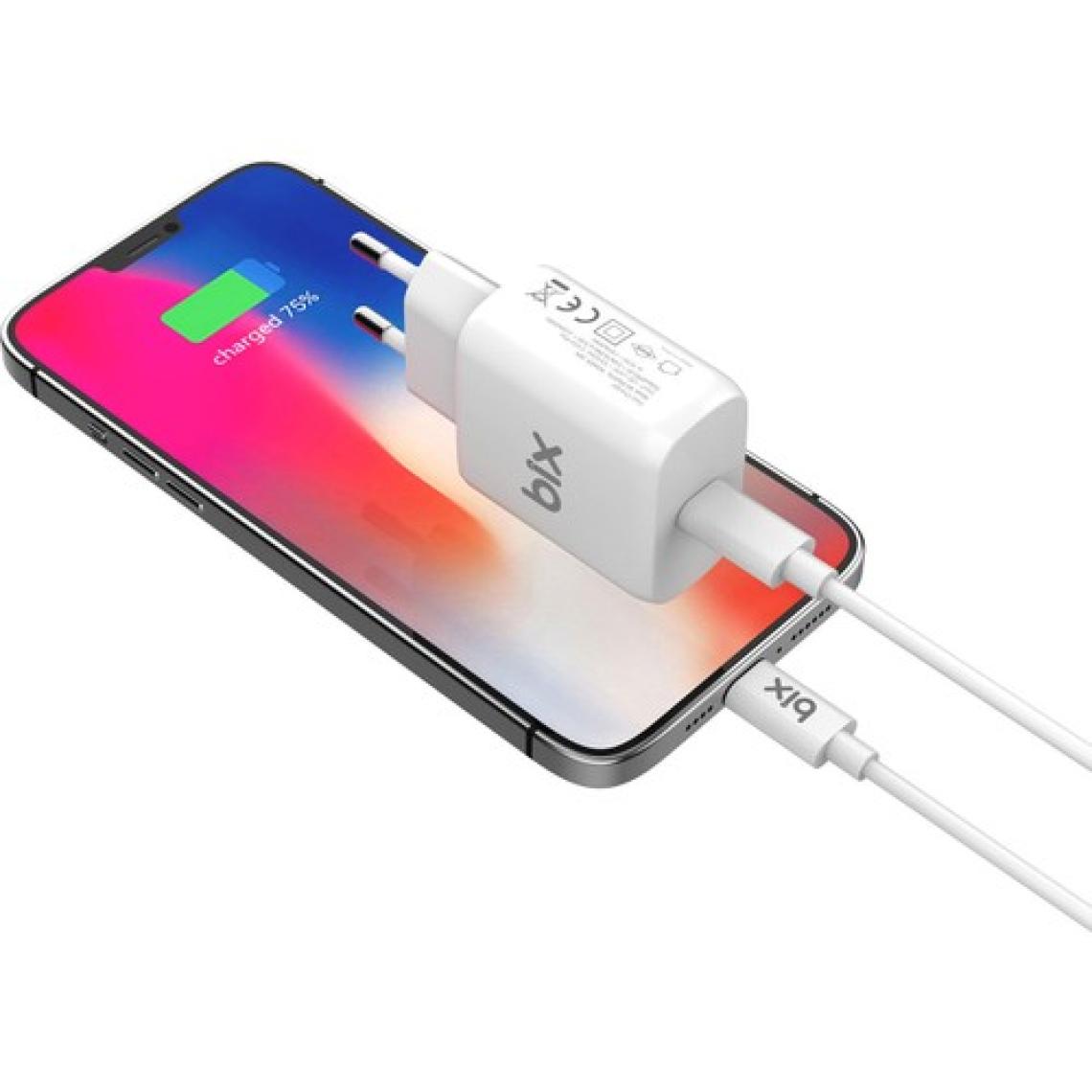 Bix BX-CL20TA iPhone 12 / 13 / 14 Serisi ile Uyumlu 20W Hızlı Seyahat Şarj Cihazı & Lightning Kablo