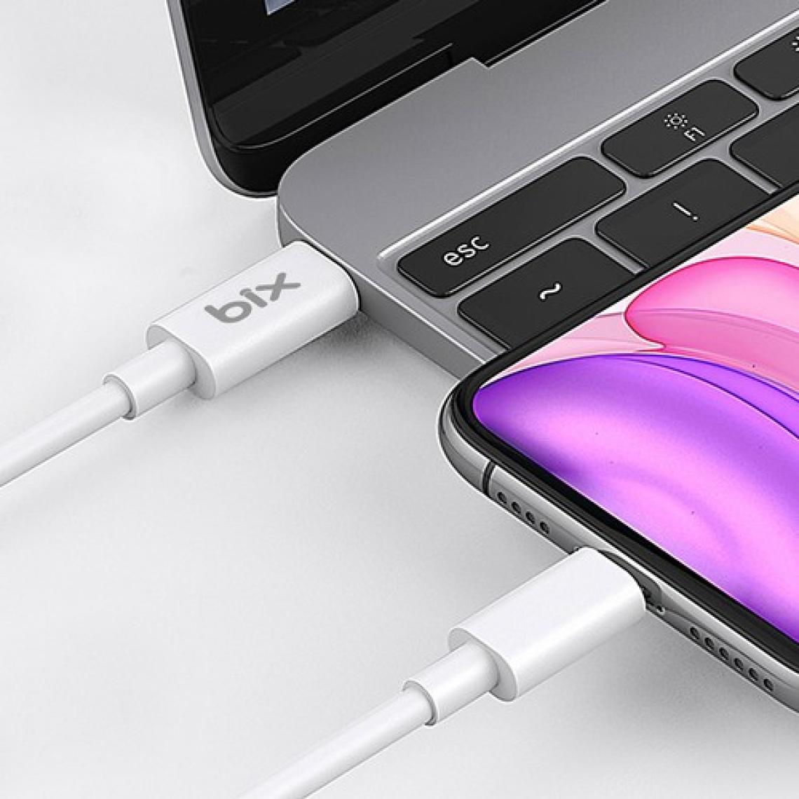 Bix BX-CL20TA iPhone 12 / 13 / 14 Serisi ile Uyumlu 20W Hızlı Seyahat Şarj Cihazı & Lightning Kablo