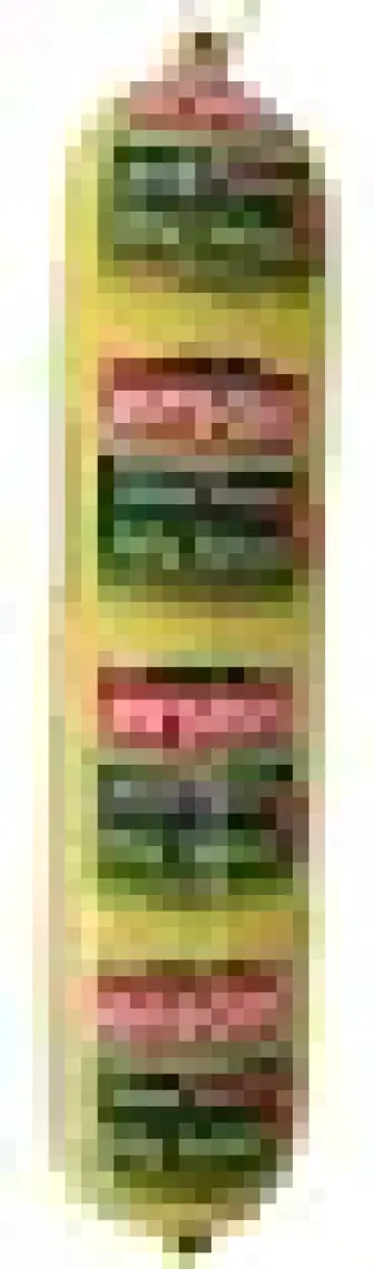 Erşan Pi̇li̇ç Salam 700 gr