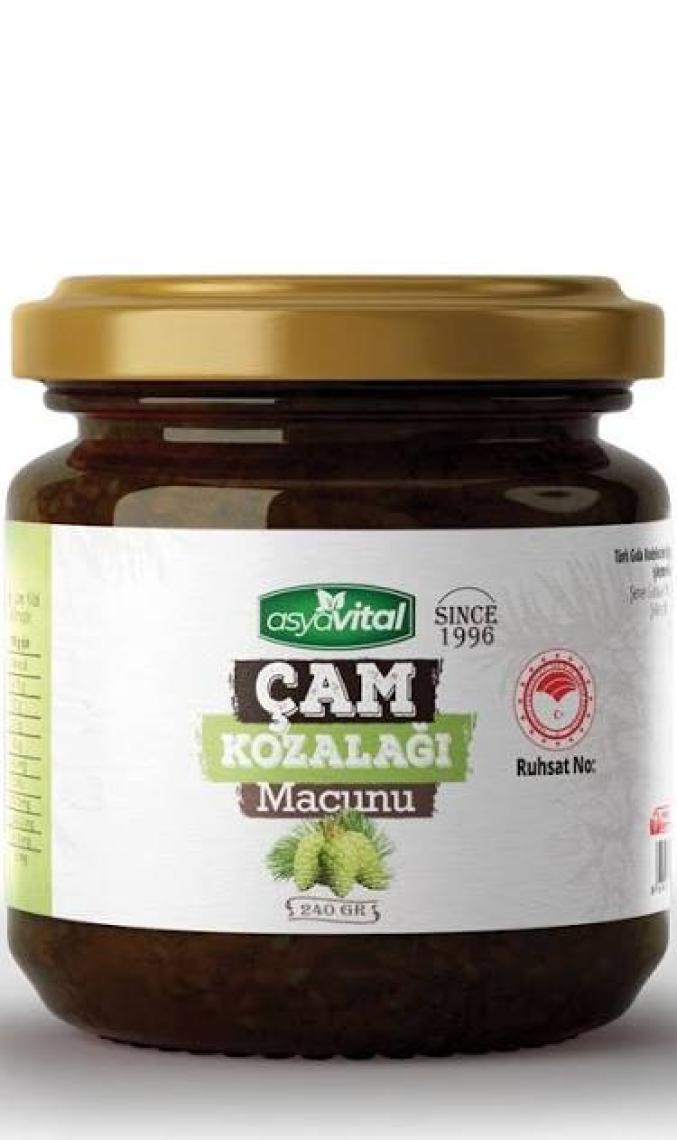 Asya Vital Çam Kozalağı Macunu 240 gr