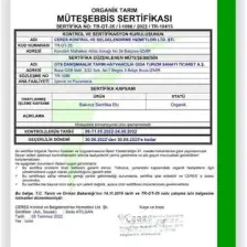 OTS Organik Tahin 275 gr
