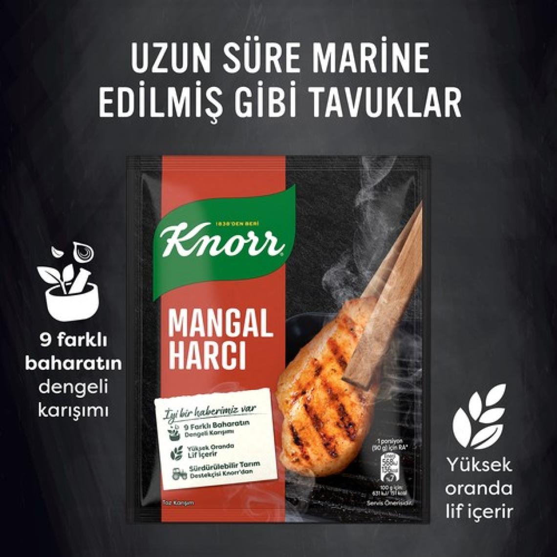 Knorr Mangal Harcı 37 g
