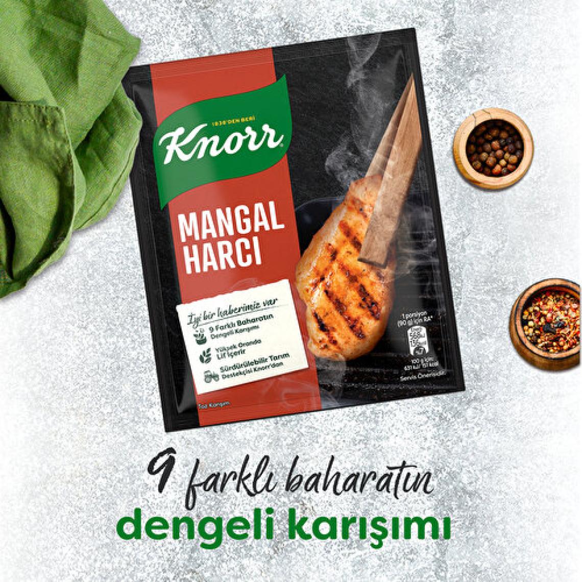Knorr Mangal Harcı 37 g