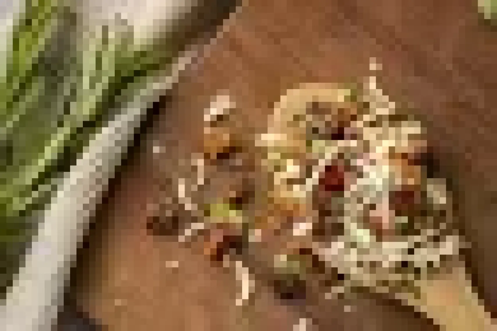 Kuru Yeşil - Kuru Sebze  - Karışık Sebze Kurusu - Dried Vegetables - Karışık Sebze - 100 gr