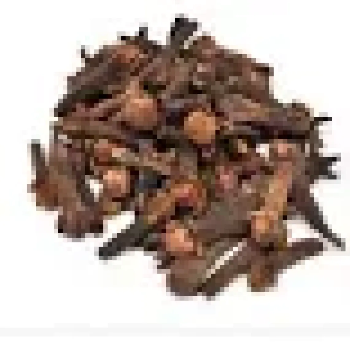 Botaniksan Karanfil (Duble Karanfil) 30 gr