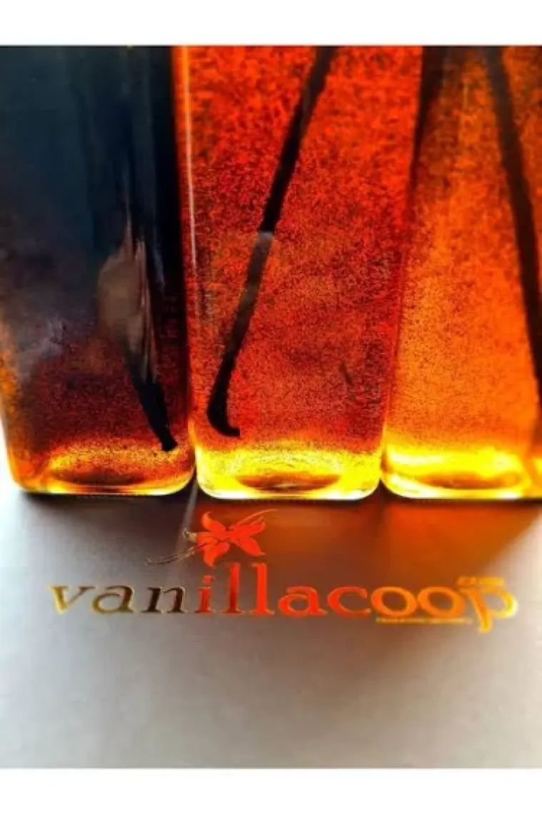 Vanillacoop - Organik Çubuk Vanilya - 6 Adet - Taze - 15/16 Cm - 2’li Vakum Paket