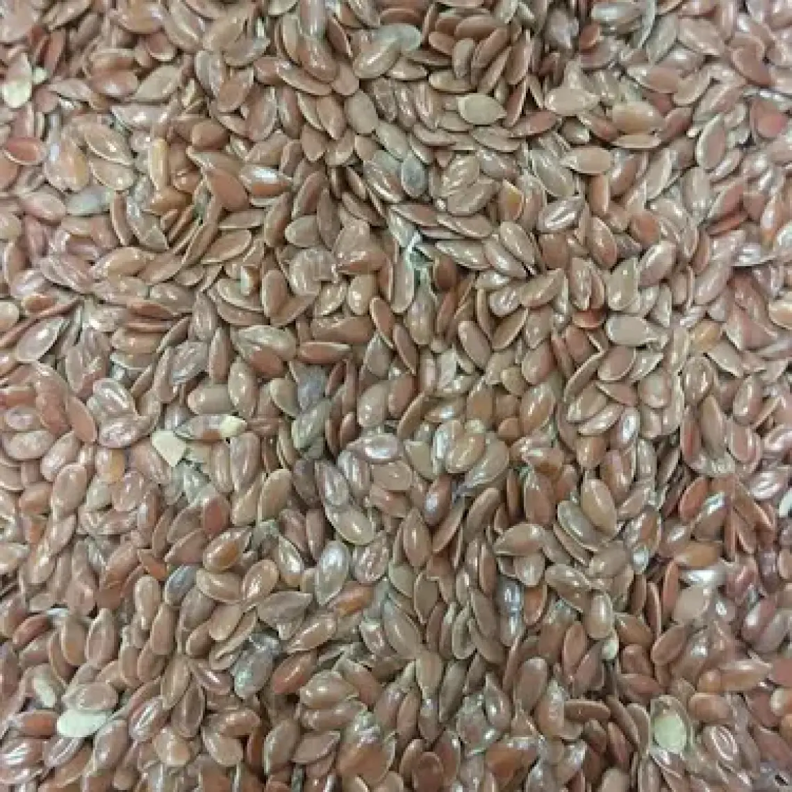 Glutensiz Keten Tohumu 1000 g