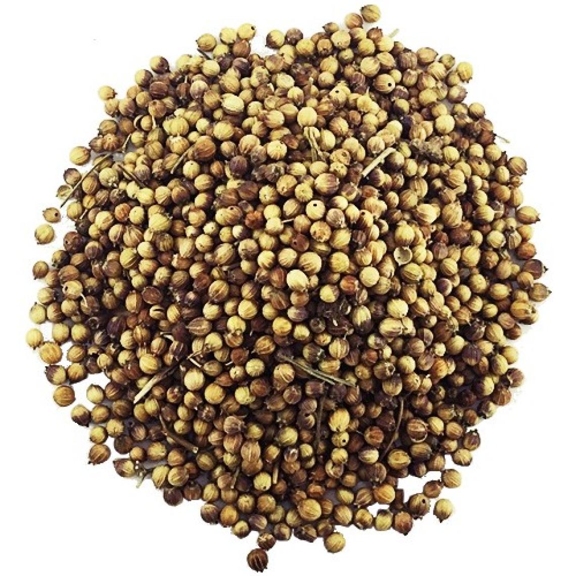 Yelken Kişniş 100gr