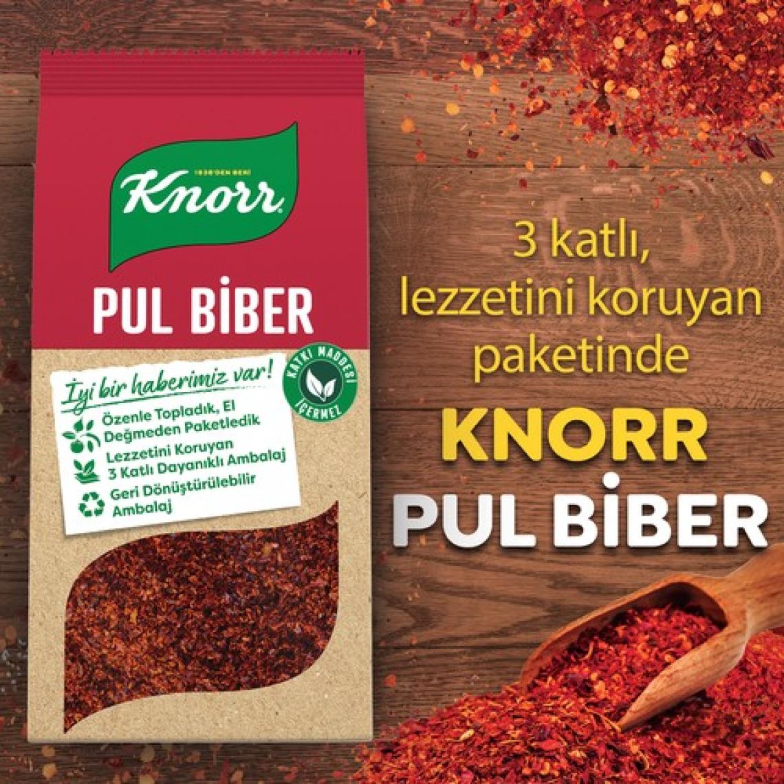 Knorr Baharat Serisi Pul Biber 65 g