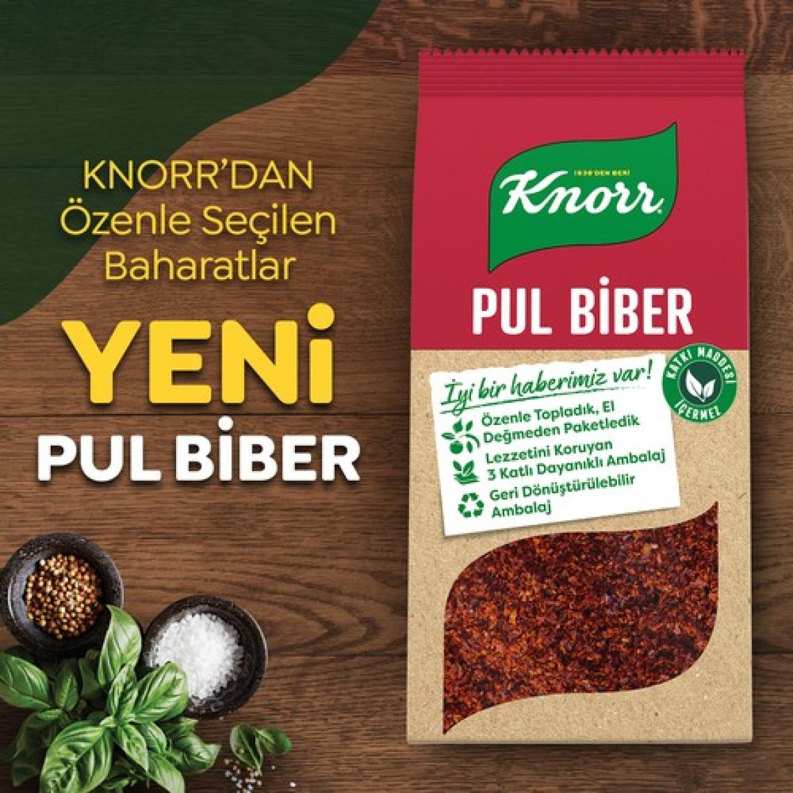 Knorr Baharat Serisi Pul Biber 65 g