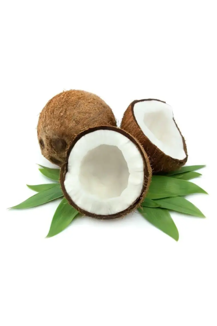 Balbis Hindistan Cevizi 500 gr
