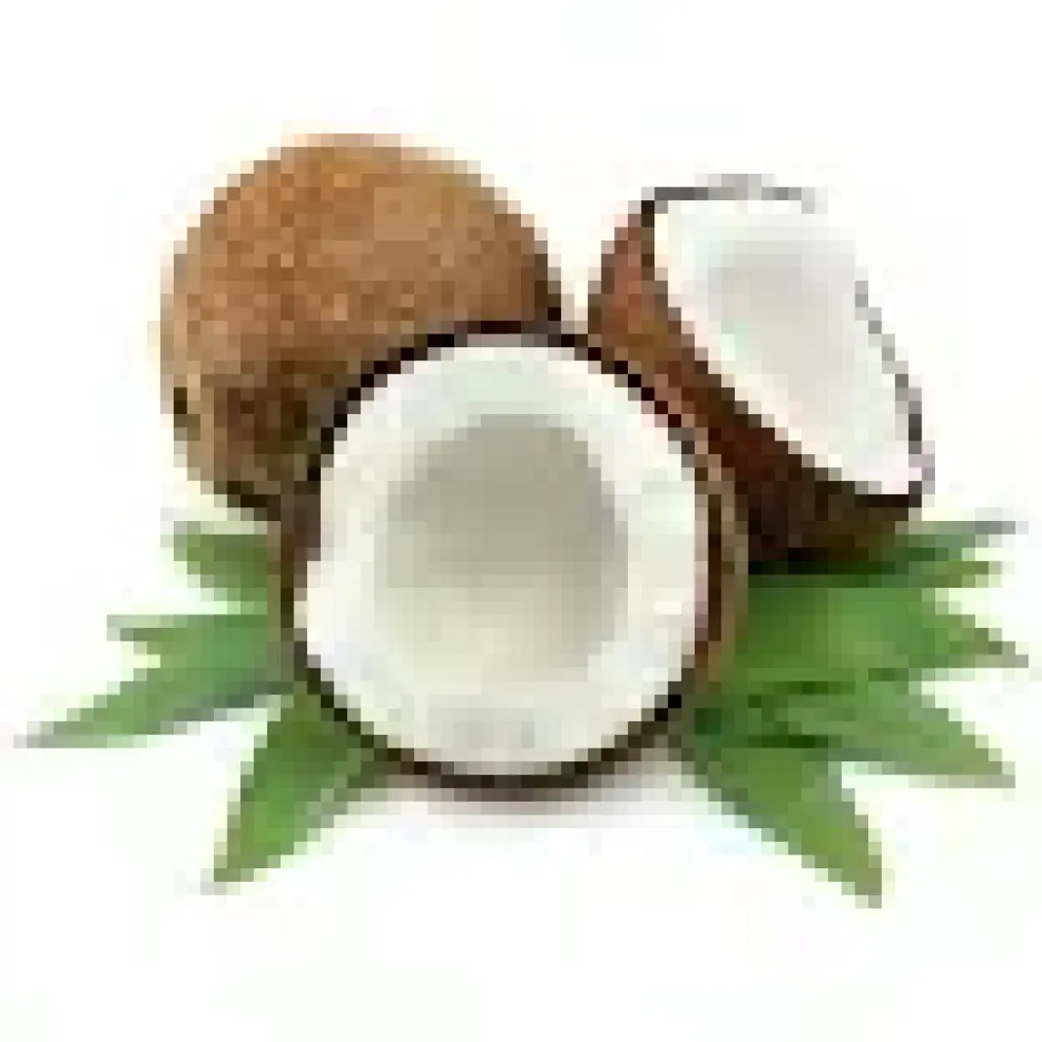 Balbis Hindistan Cevizi 500 gr
