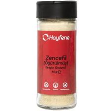Zencefil Toz 40 gr