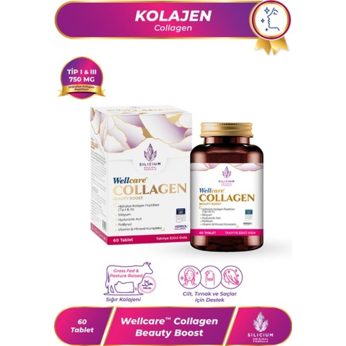 Wellcare Collagen Beauty Boost Tip I & III 750 mg 60 Cilt Tablet